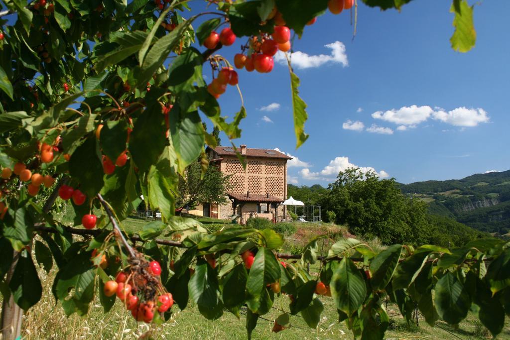 B&B Al Merlo Angelico Pellegrino Parmense Zewnętrze zdjęcie